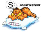 Garfield 07.jpg (112277 octets)