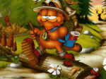 Garfield 15.jpg (168182 octets)