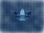 signe adidas.jpg (143906 octets)
