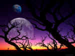 Coucher de Soleil 01.jpg (207609 octets)