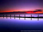 paysage 04.jpeg (99925 octets)